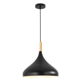 PENDENT LIGHT-BLACK (5)